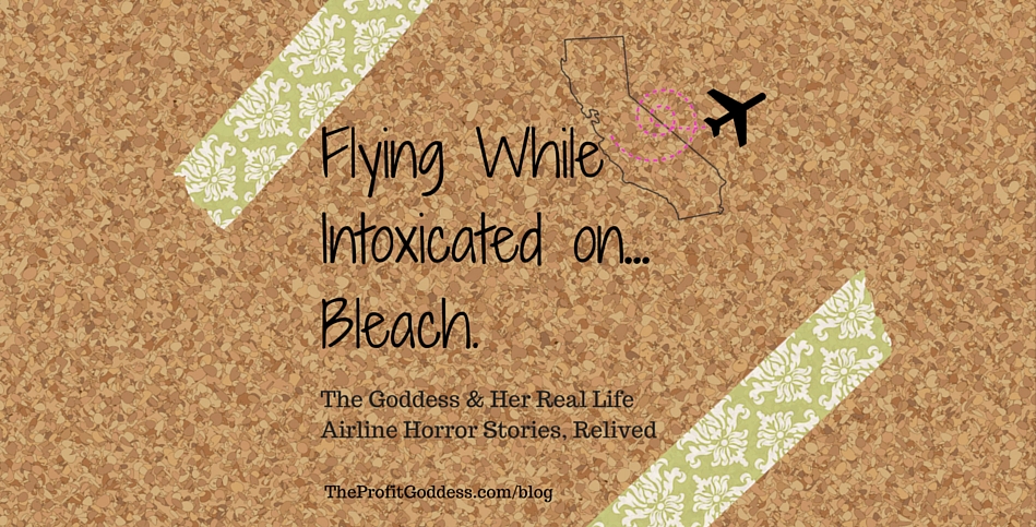 Flying while Intoxicated On...Bleach | The Profit Goddess! | Featured Image | https://theprofitgoddess.com/blog/   #smallbiz #eventprofs #entrepreneur