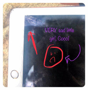 Coco's cracked iPad