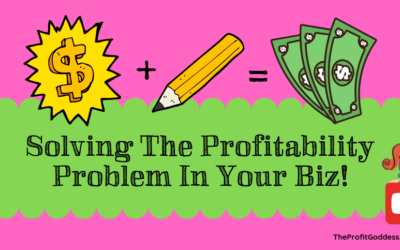 Solving The Profitability Problem In Your Biz!